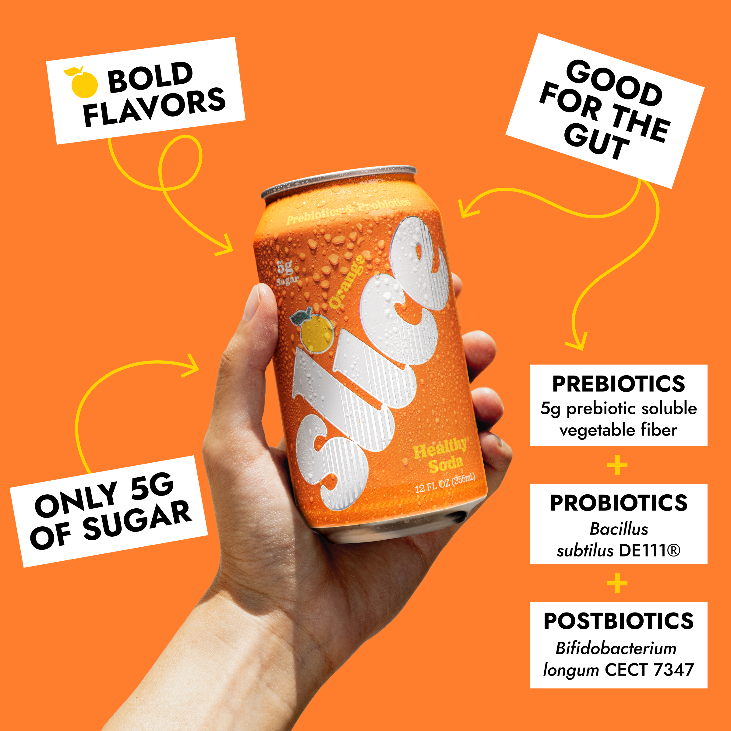 Orange Soda (12pk)
