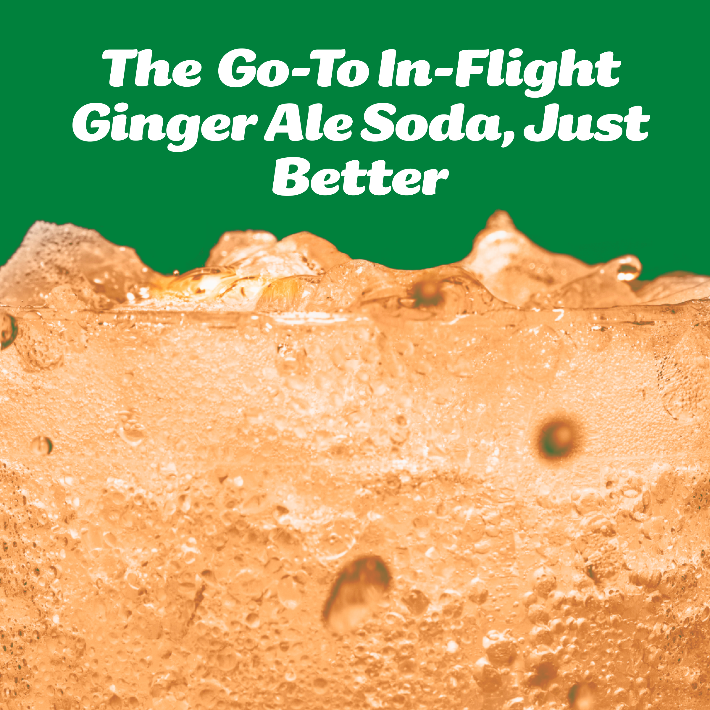 Ginger Ale Soda (12pk)