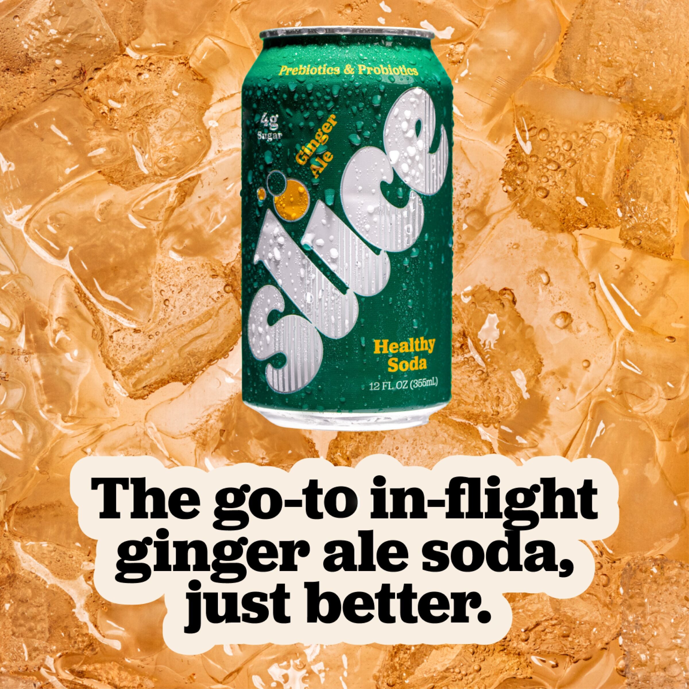 Ginger Ale Soda (12pk)