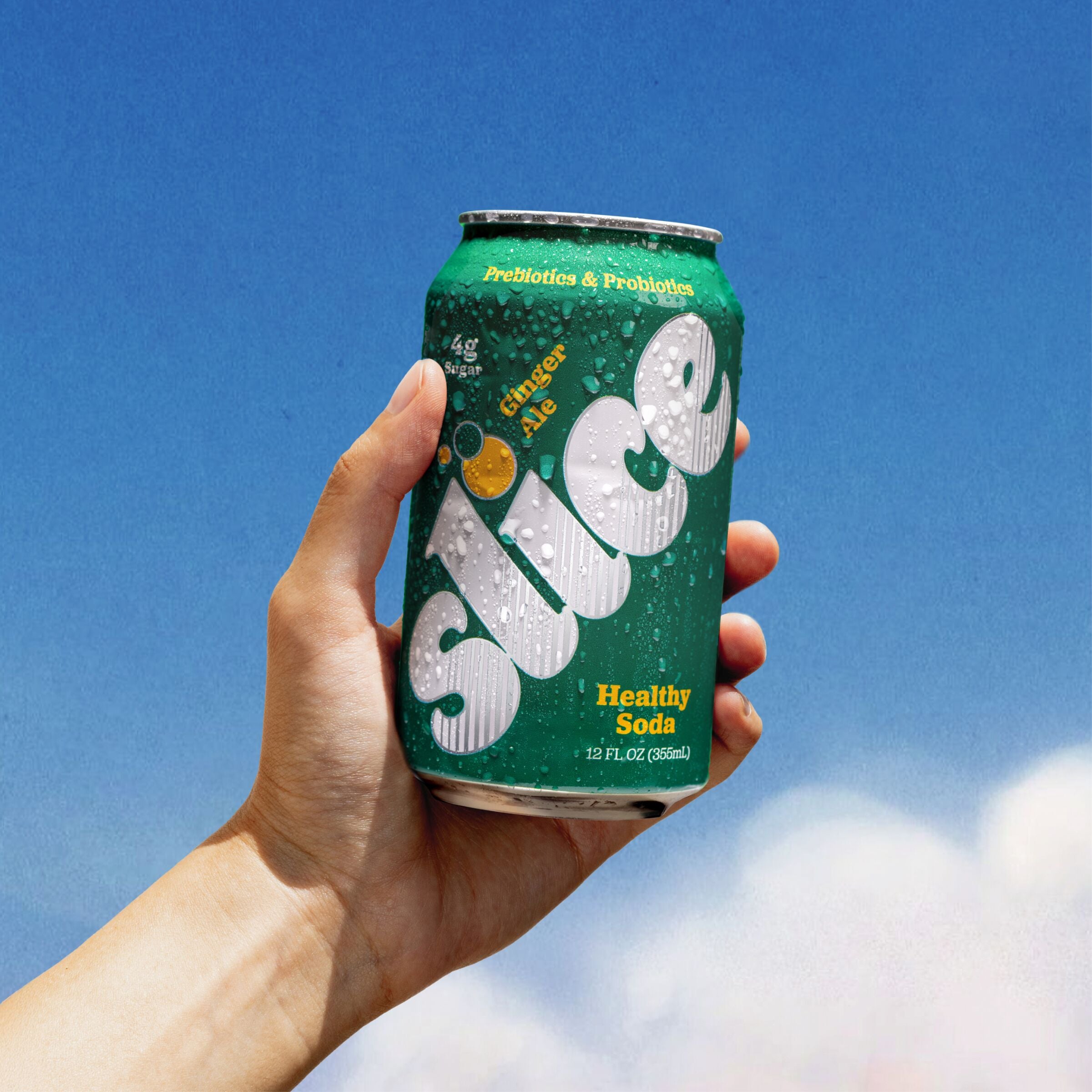 Ginger Ale Soda (12pk)