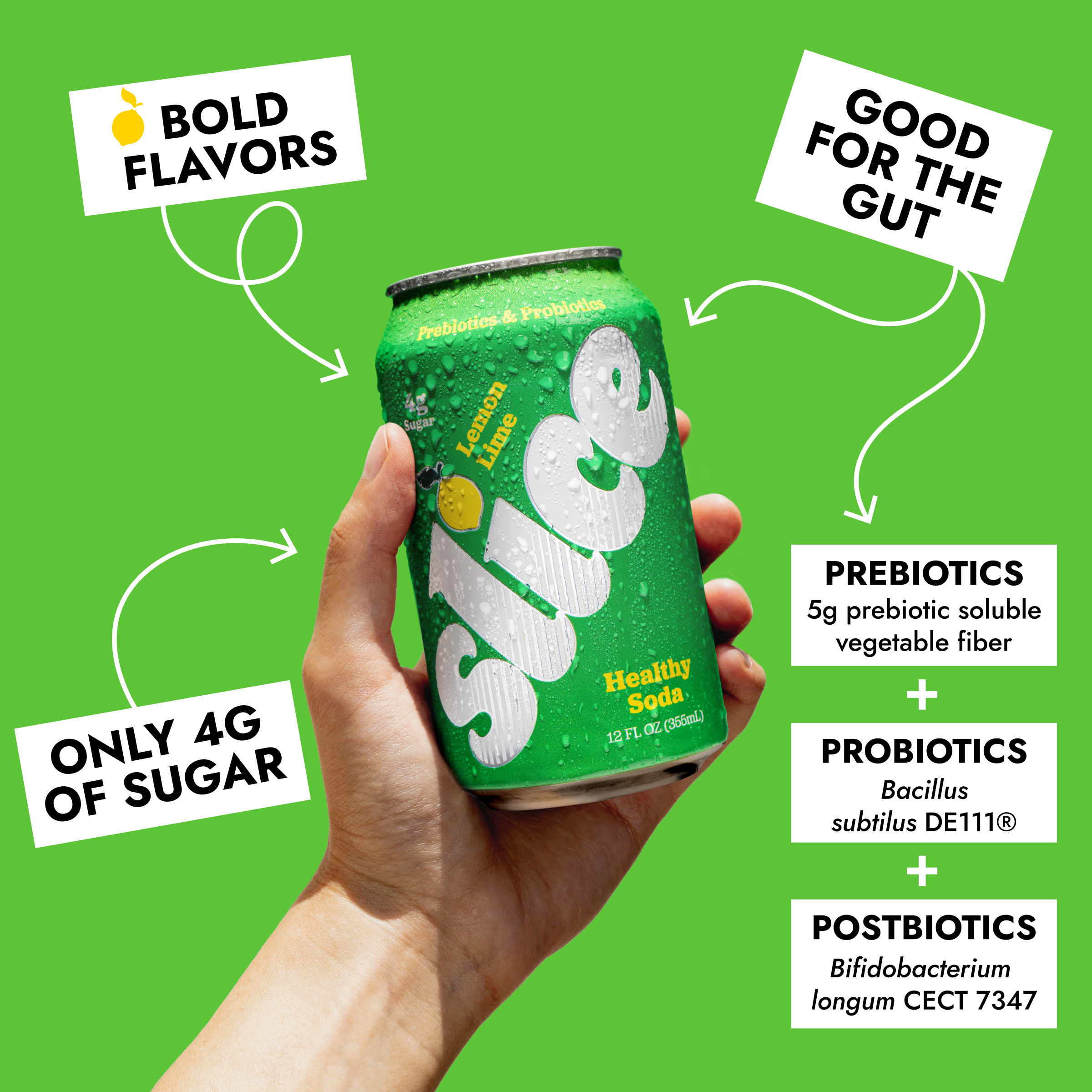 Lemon Lime Soda (12pk)