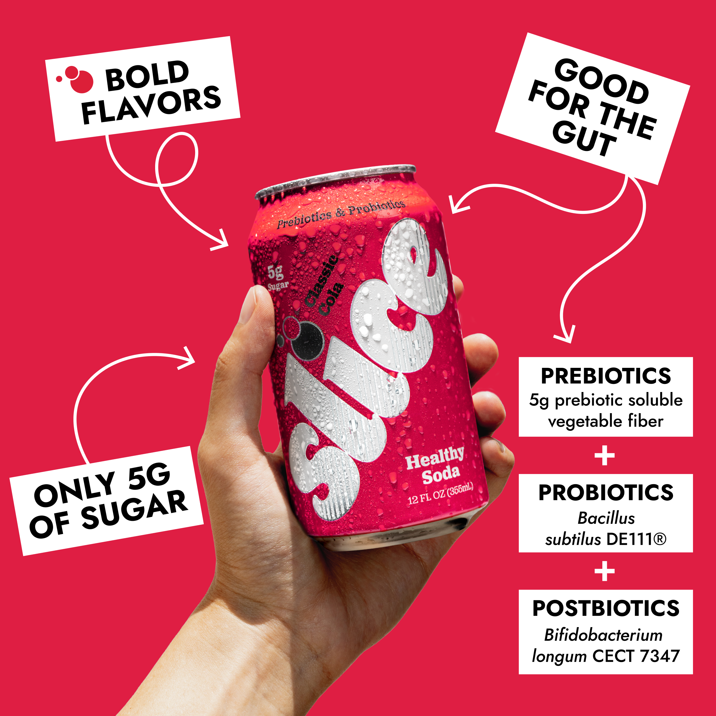 Classic Cola Soda (12pk)