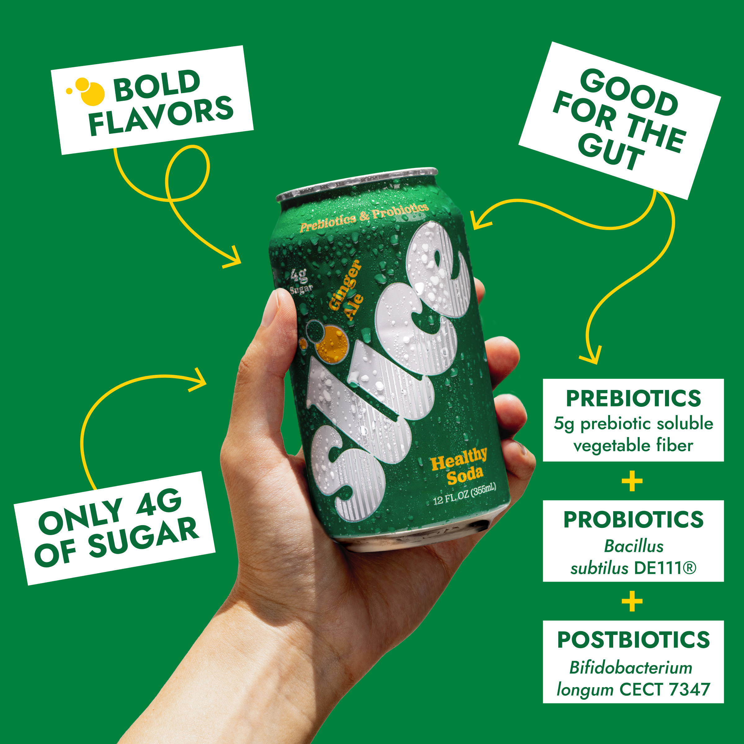 Ginger Ale Soda (12pk)